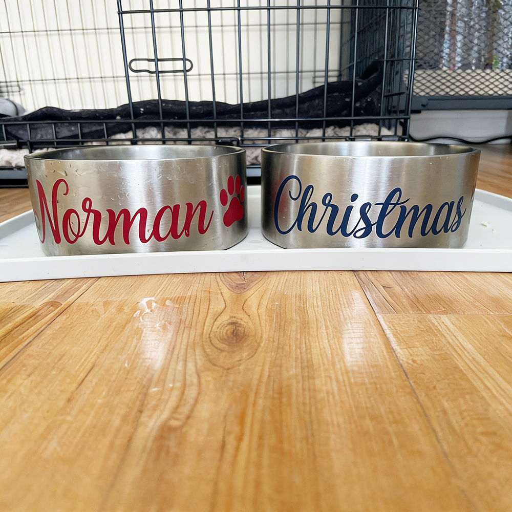 Personalized Pet Stainless Steel Anti-slip Thickened Food Bowl | BKPet369