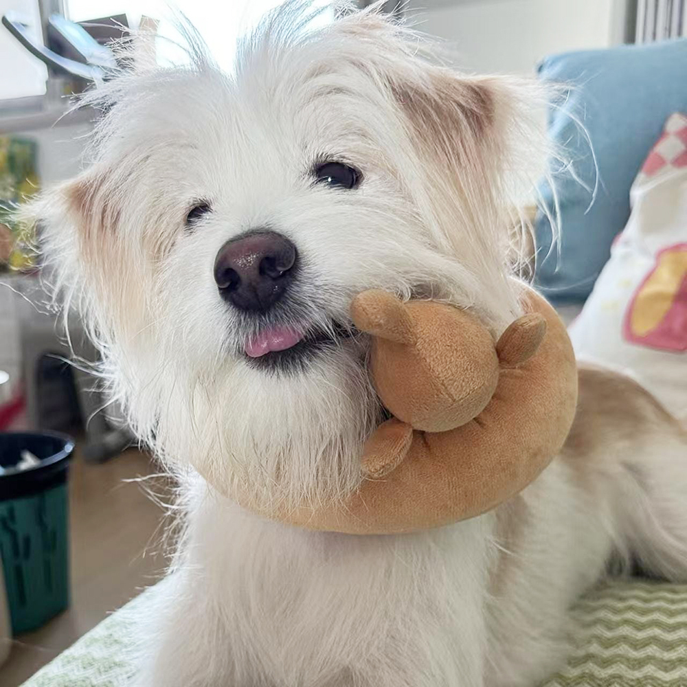 Plush Pretzel Dachshund squeaky Dog Toys | BKPet383