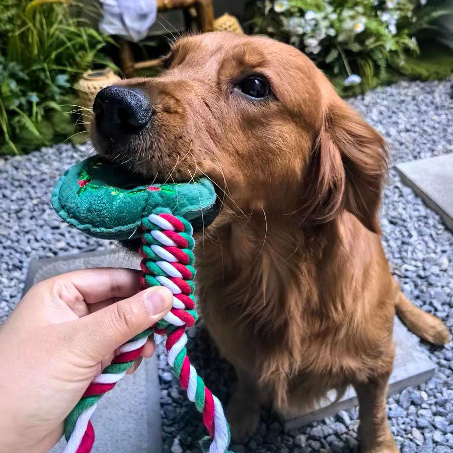 Bite-Resistant Christmas Pet Squeaky Chew Toy | MCGift111