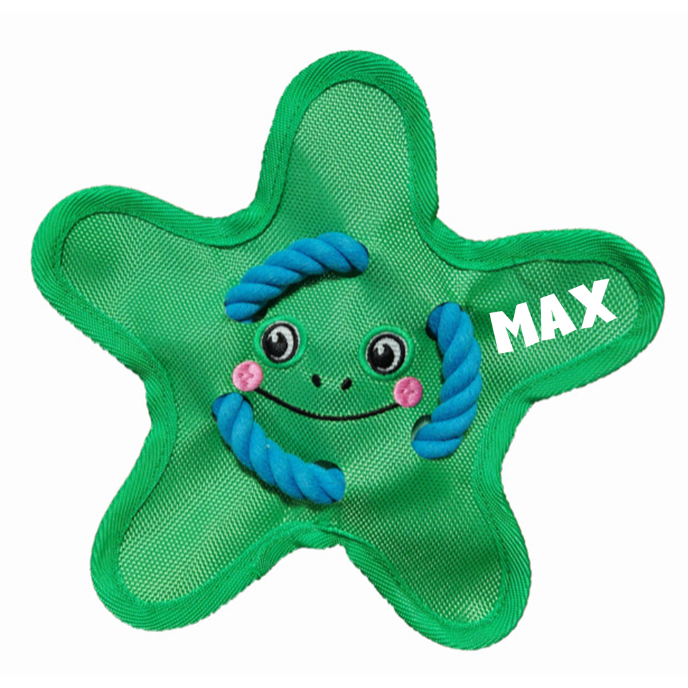 Personalized Star Flying Disc Squeaky Dog Toy | BKPet386