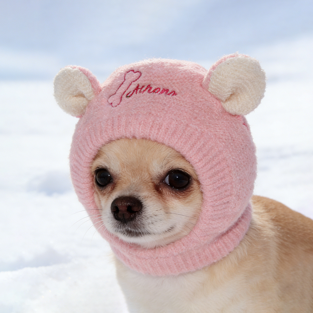 Personalized Embroidered Pet Winter Anti Noise Earmuffs Hat | BKPet206