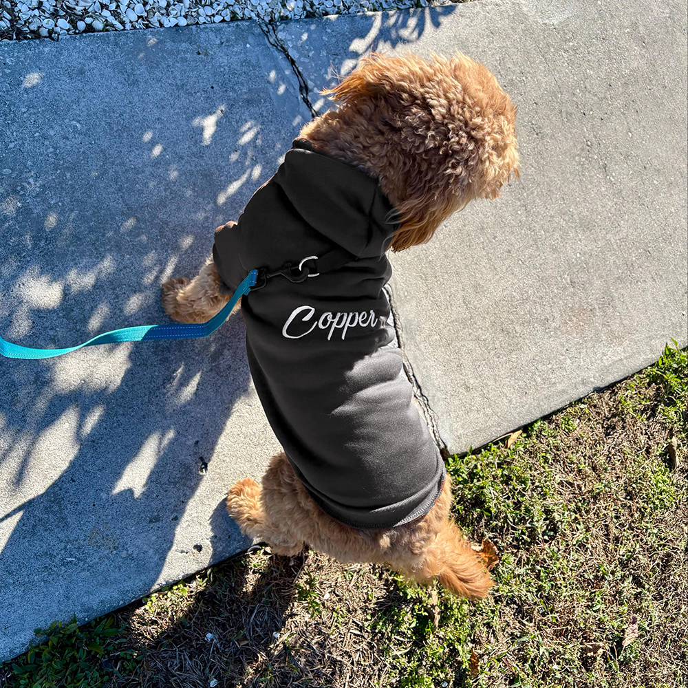 Personalized Embroidery Warm Soft Large Size Puppy Hoodie | BKPet362
