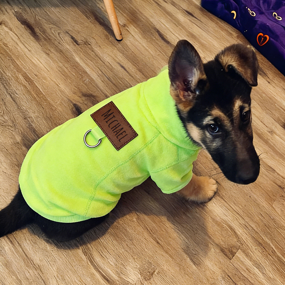 Personalized Leather Patch Pets Color Sweatshirts | BKPet91