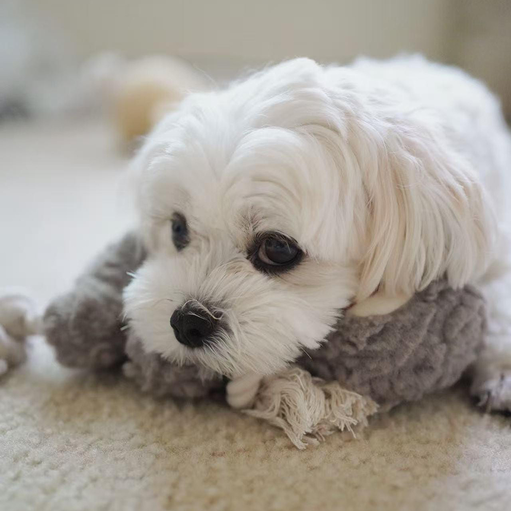 Handmade Pet Squeaky Interactive Chew Toy | BKPet396