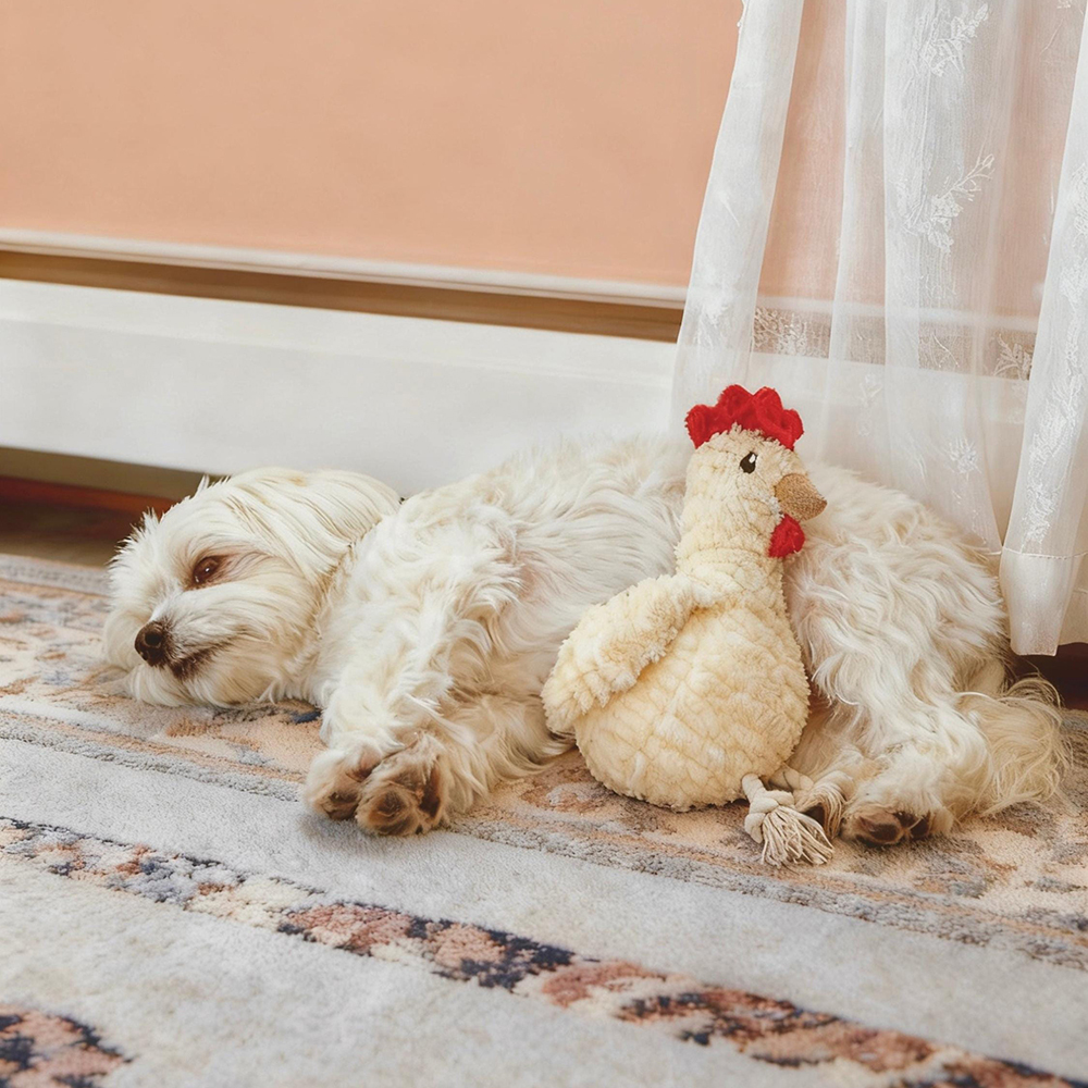 Handmade Pet Squeaky Interactive Chew Toy | BKPet396