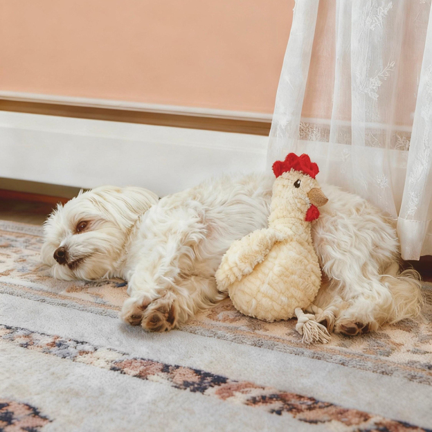 Handmade Pet Squeaky Interactive Chew Toy | BKPet396