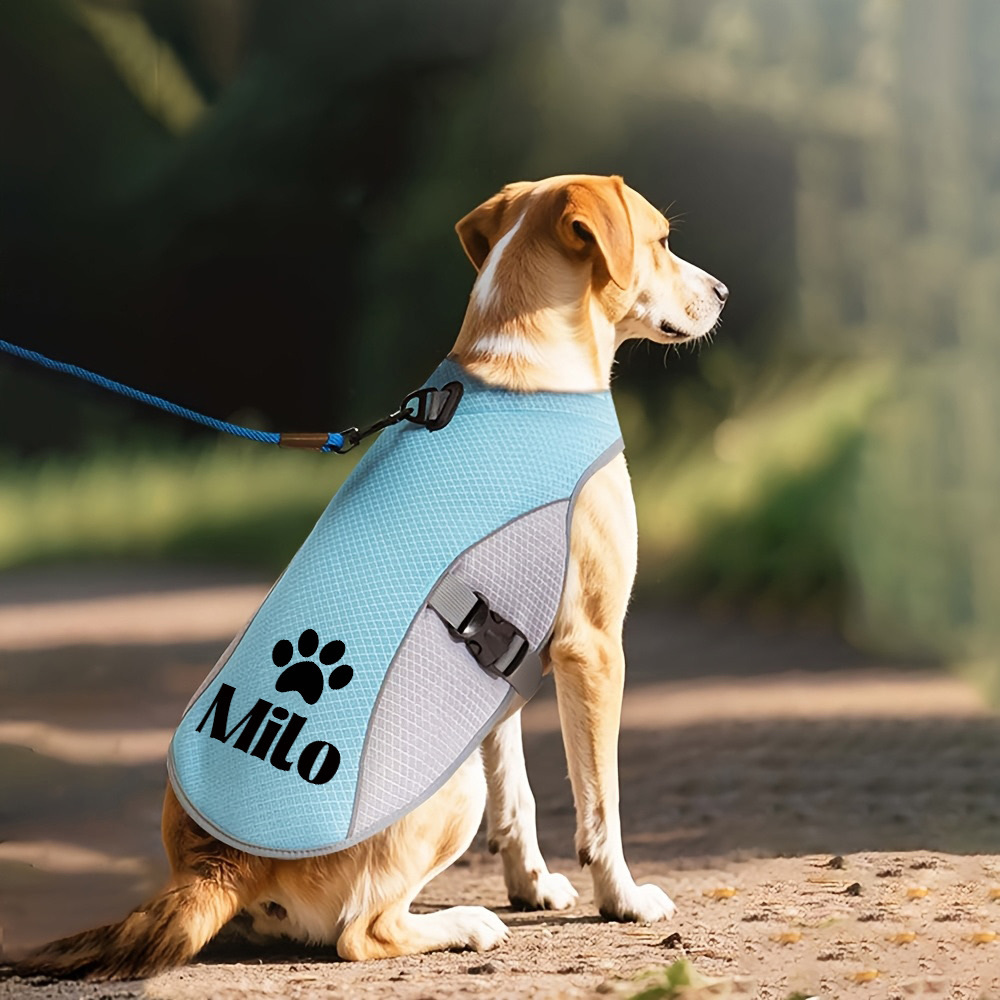 Personalized Pet Lightweight Cooling Breathable Vest | BKPet403