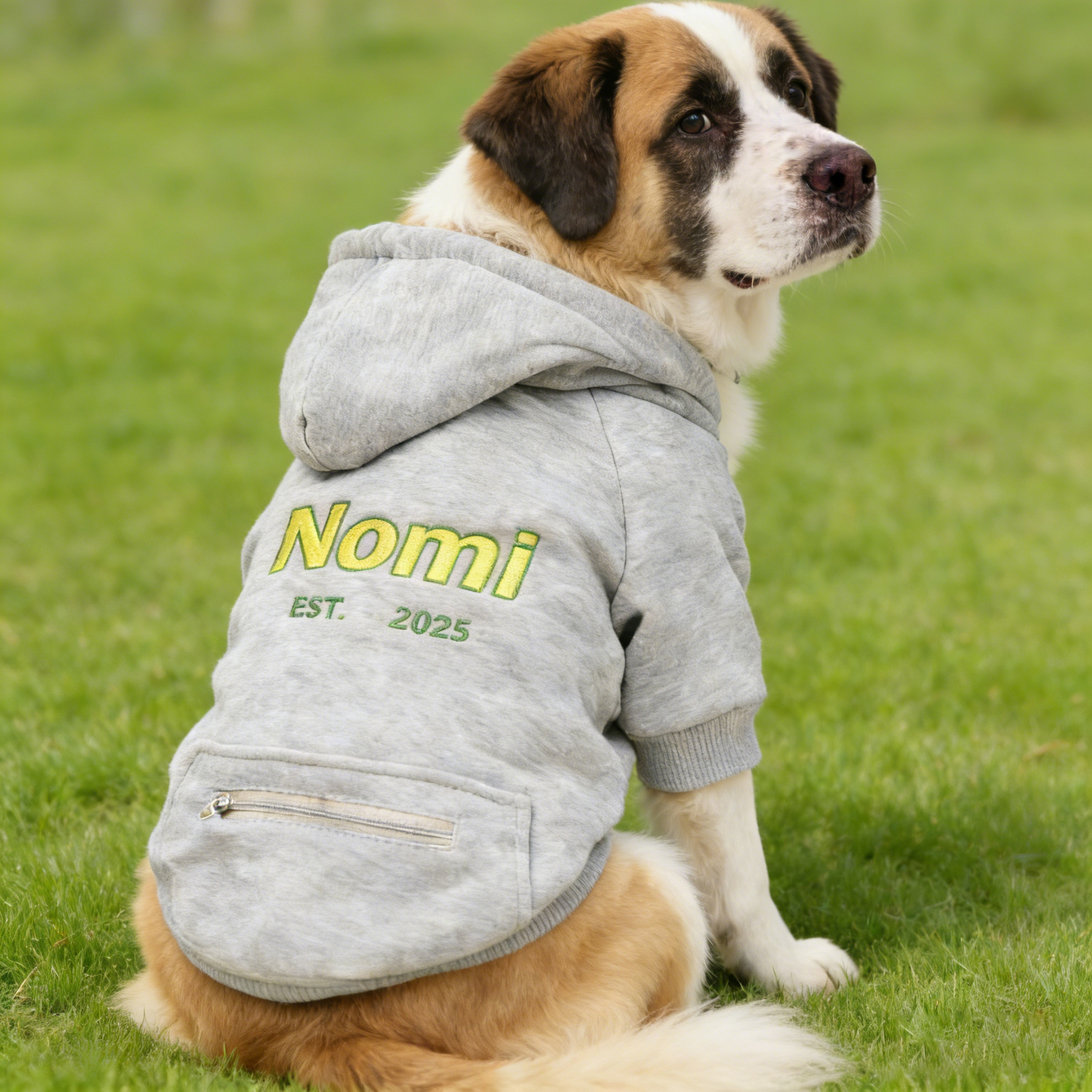 Personalized Embroidered Large Size Puppy Hoodie | BKPet412