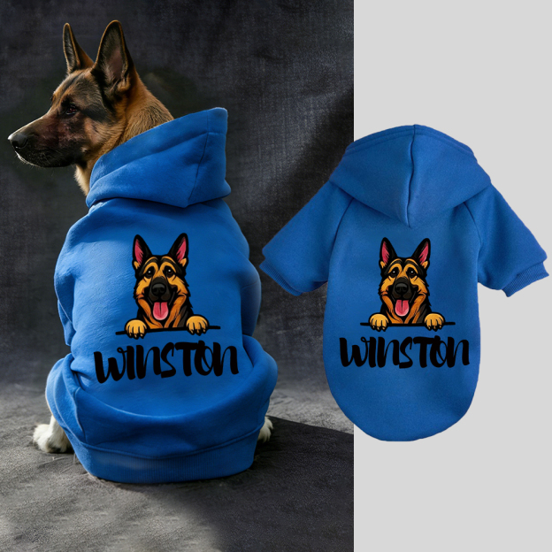Personalized Funny Pet Portrait Hoodie | BKPet415