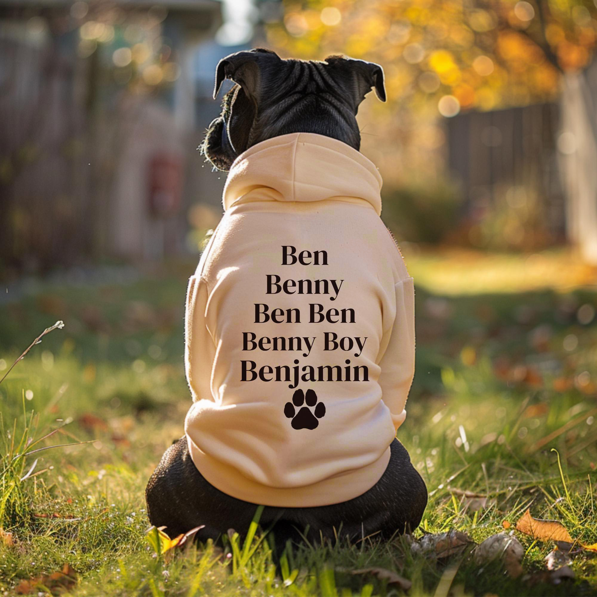 Personalized Pet Cozy Nickname Hoodie | BKPet418