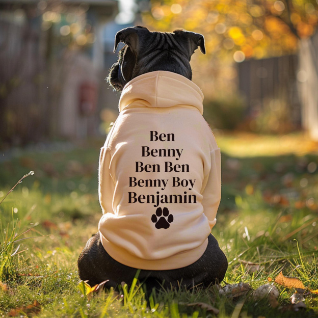 Personalized Pet Cozy Nickname Hoodie | BKPet418