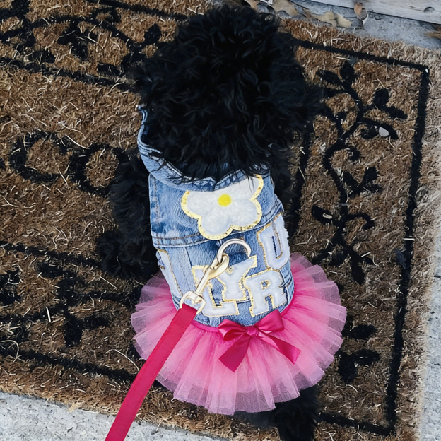 Personalized Hand Patch Pets Denim Jacket with TUTU Skirt | BKPet424
