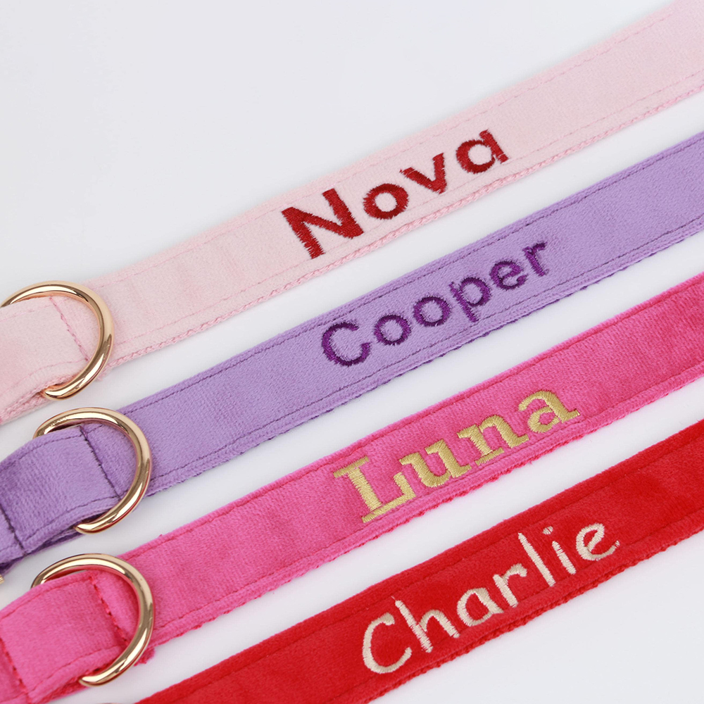 Personalized Embroidered Adjustable Velvet Pet Collar | BKPet425