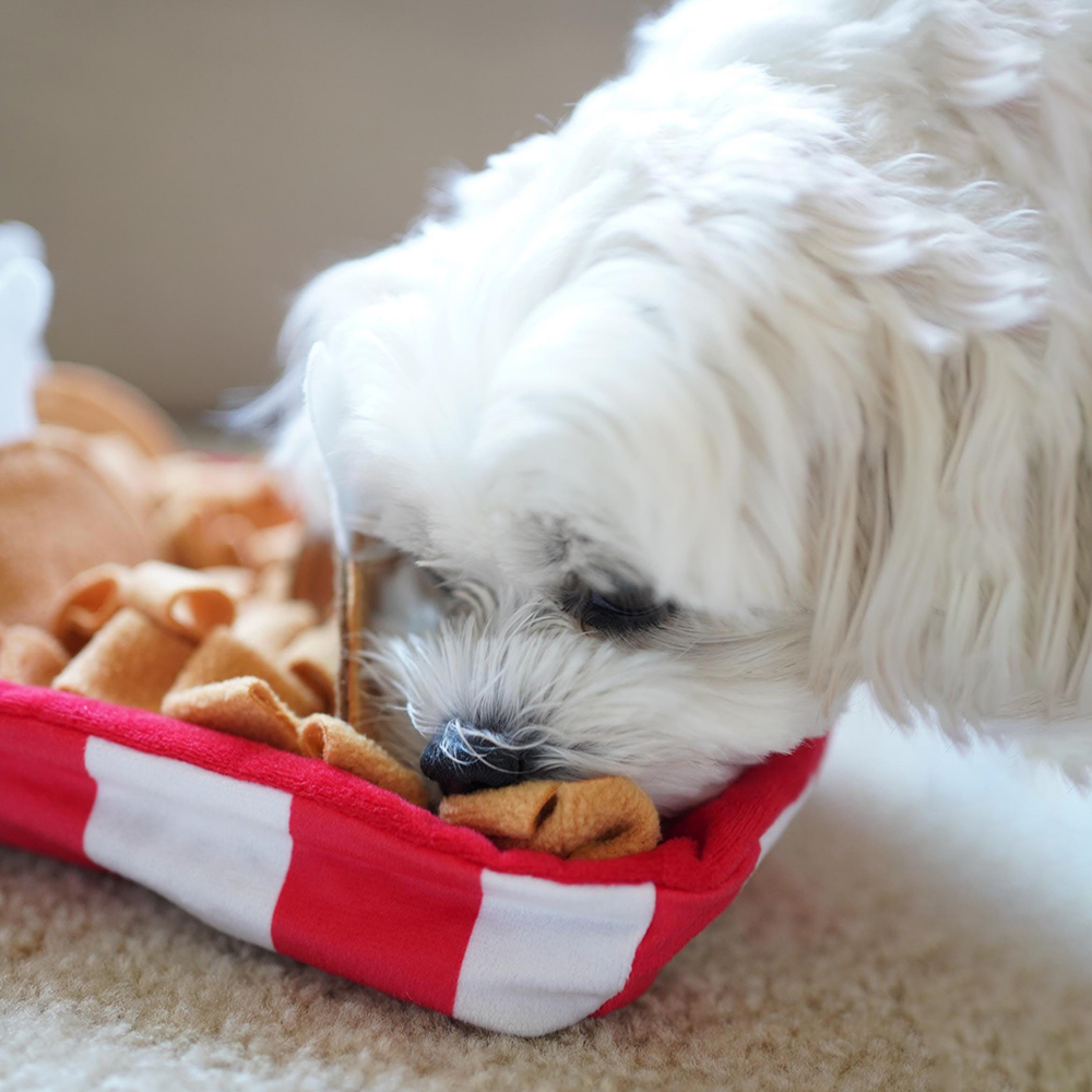 Creative Slow Feeder Chicken Pet Training Toy | BKPet431