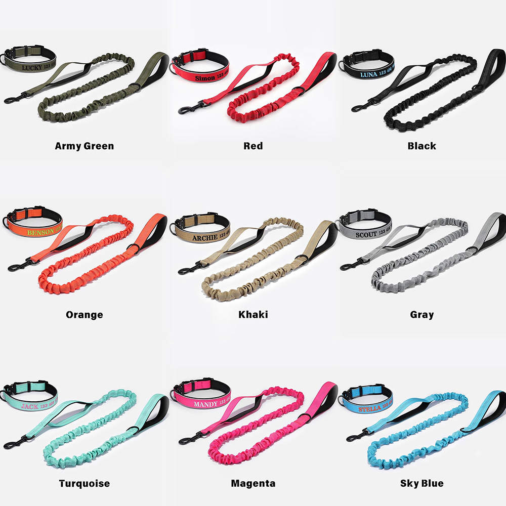 Personalized Embroidered Dog Collar & Leash Set | BKPet434