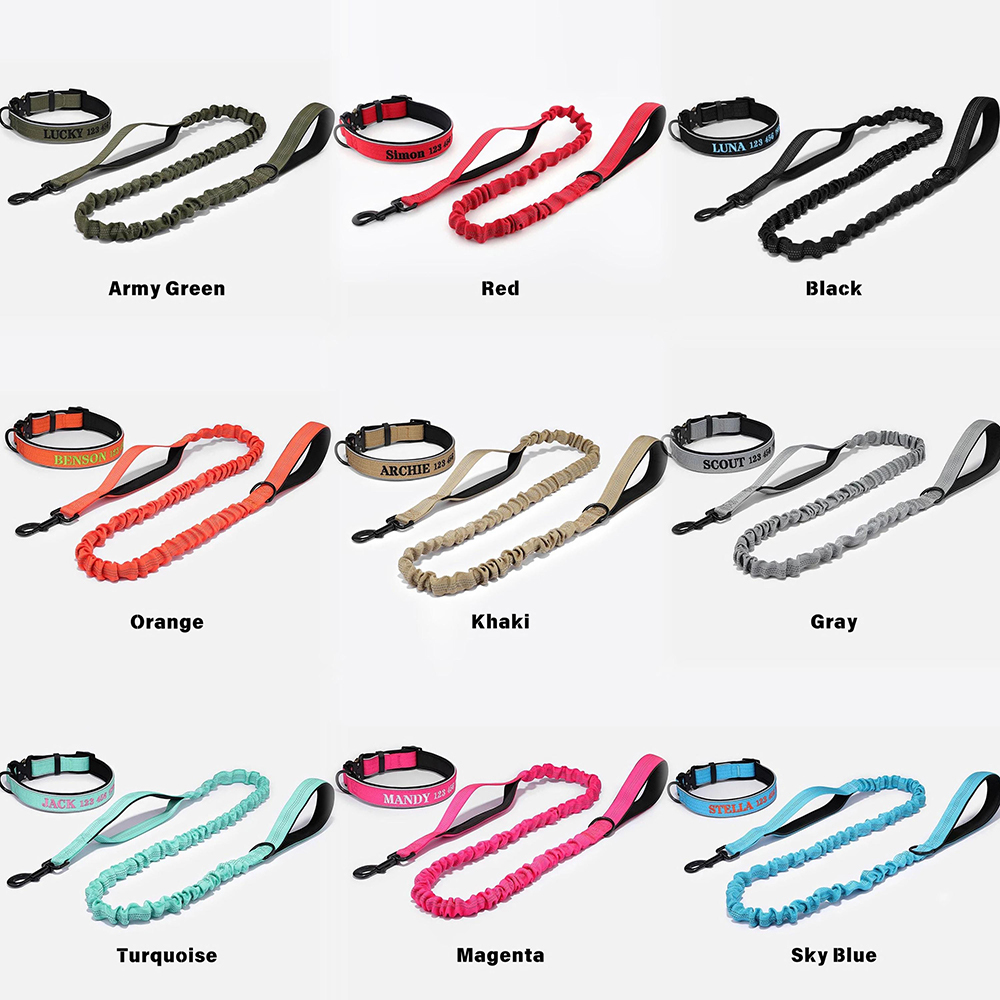 Personalized Embroidered Dog Collar & Leash Set | BKPet434