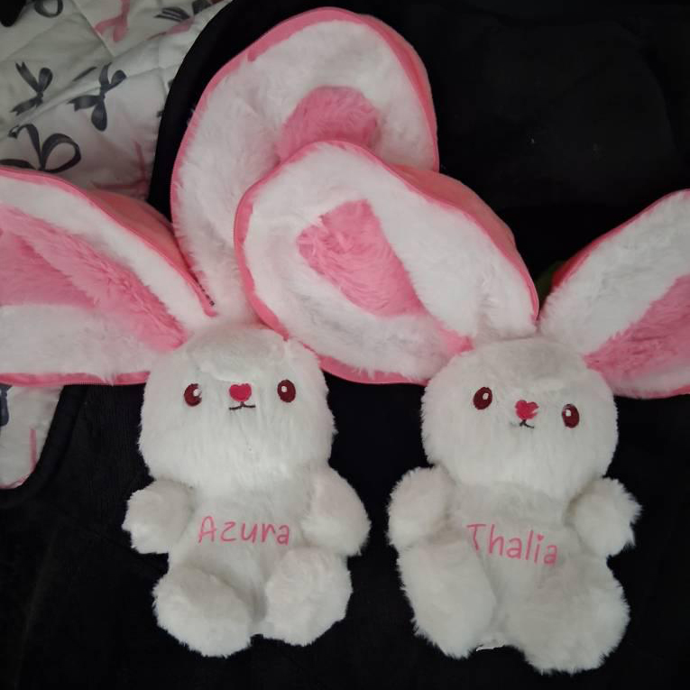 Personalized Changeable Carrot/Strawberry Plush Toy | CWToy182