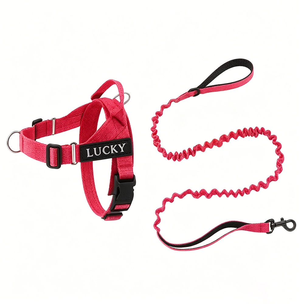 Personalized Embroidered Dog Harness & Leash Set | BKPet462