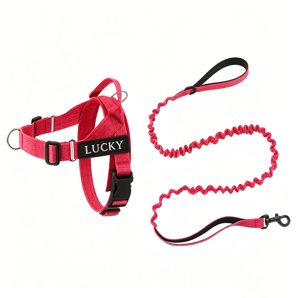 Personalized Embroidered Dog Harness & Leash Set | BKPet462