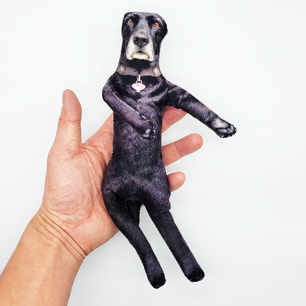Personalized Mini Me Doll with Poseable Body | CWToy198