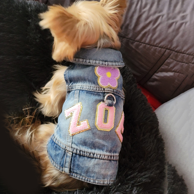 Personalized Hand Patch Pets Denim Jacket for Comfort and Unique | BKPet26