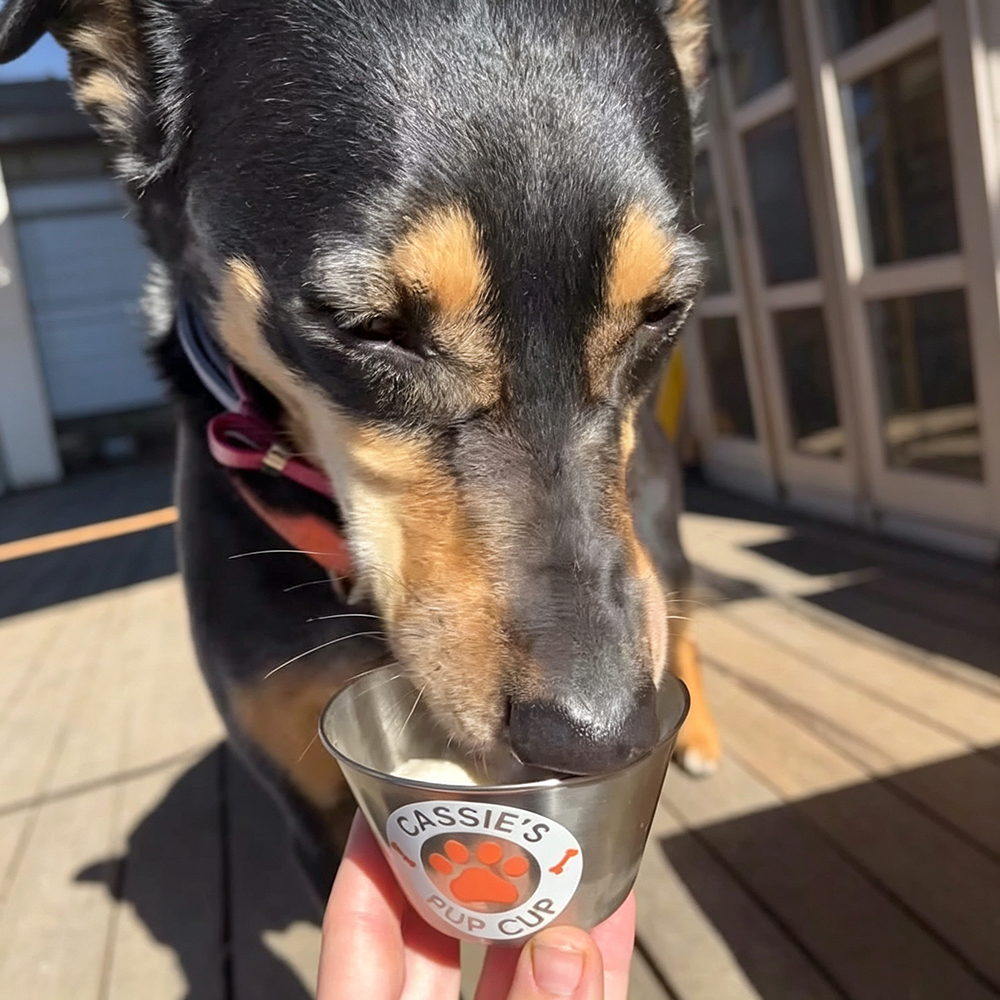 Personalized Pet Stainless Steel Reusable Mini Pup Cup Mug | BKPet273