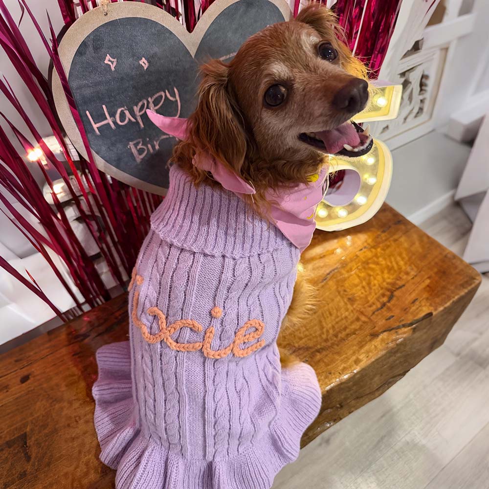 Personalized Hand Embroidered Pet Knitted Ruffle Sweater Dress | BKPet578