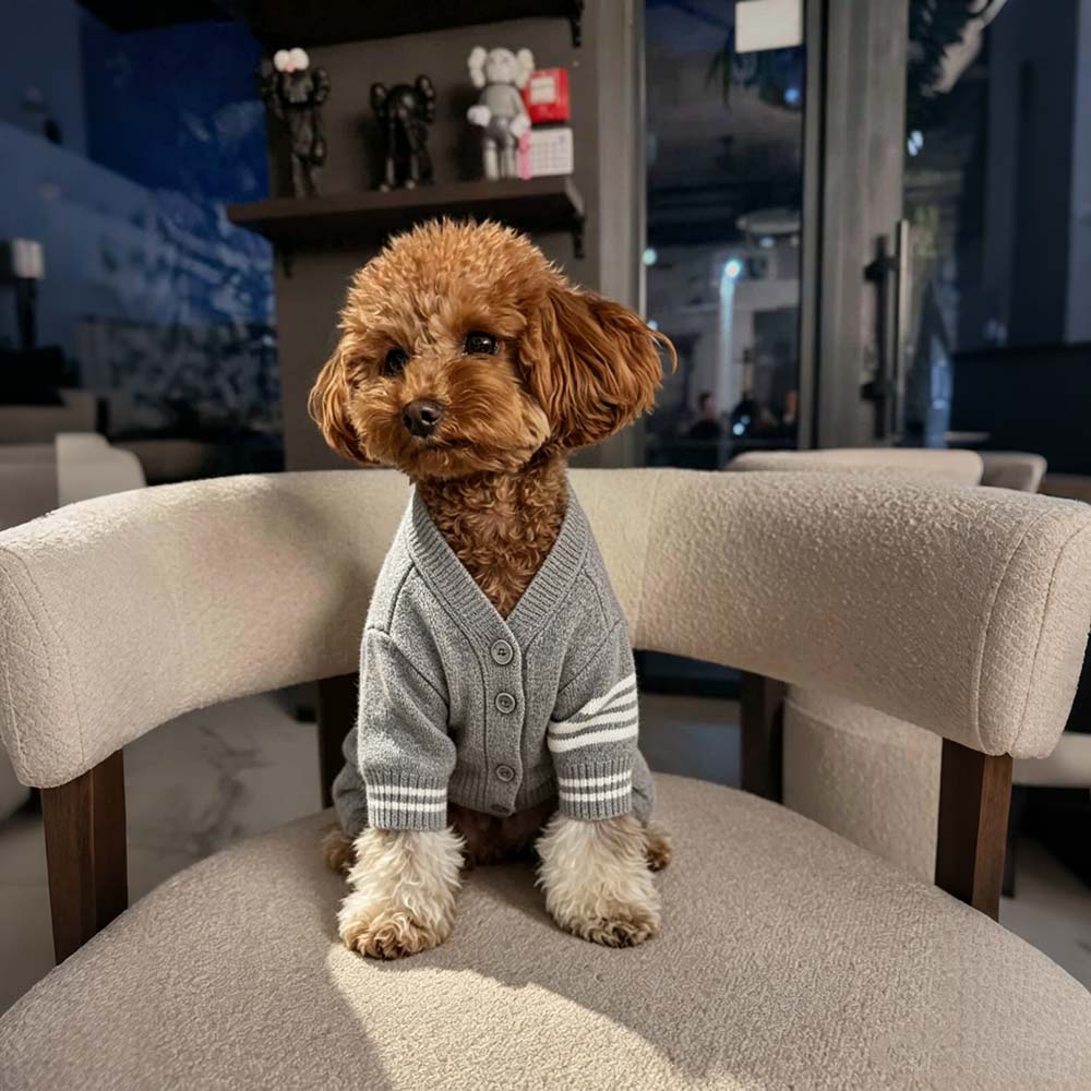 Personalized Hand Embroidered Pets Knit Cardigan | BKPet582
