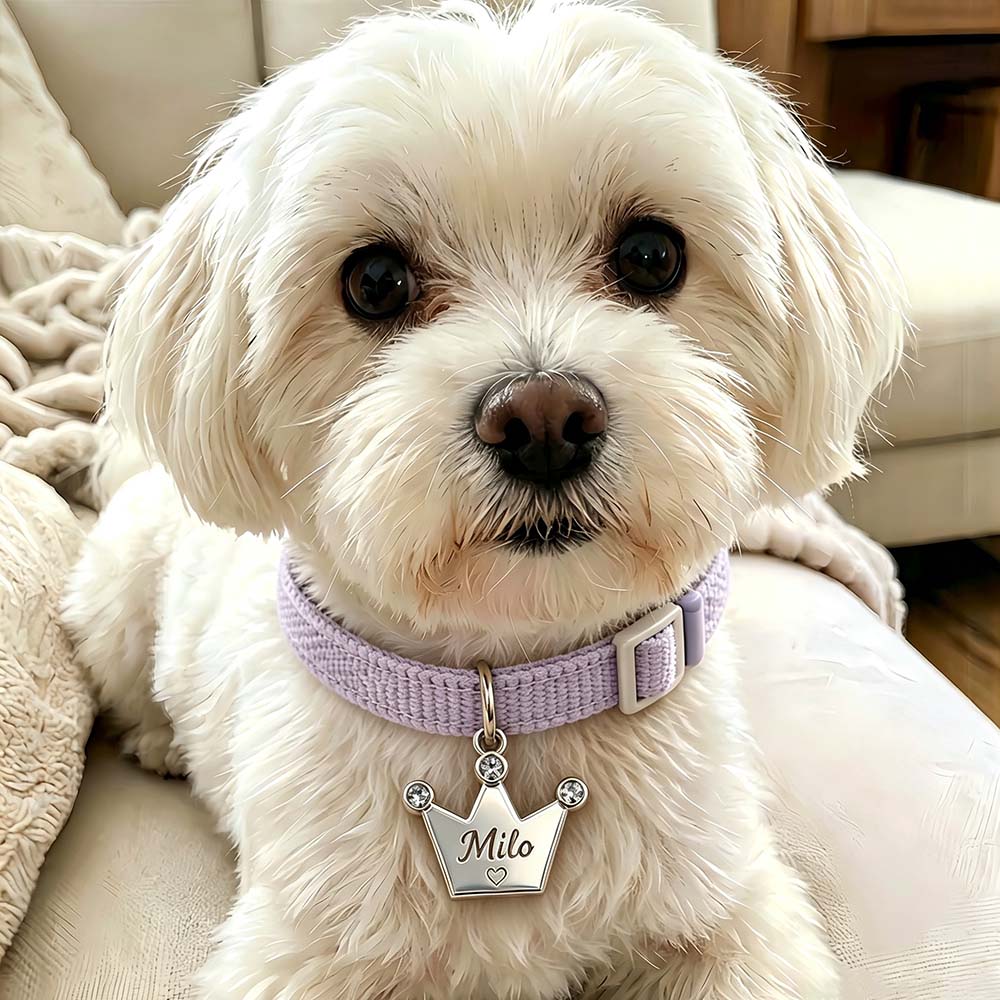 Personalized Rhinestone Crown Pet Collar ID Tag | BKPet585