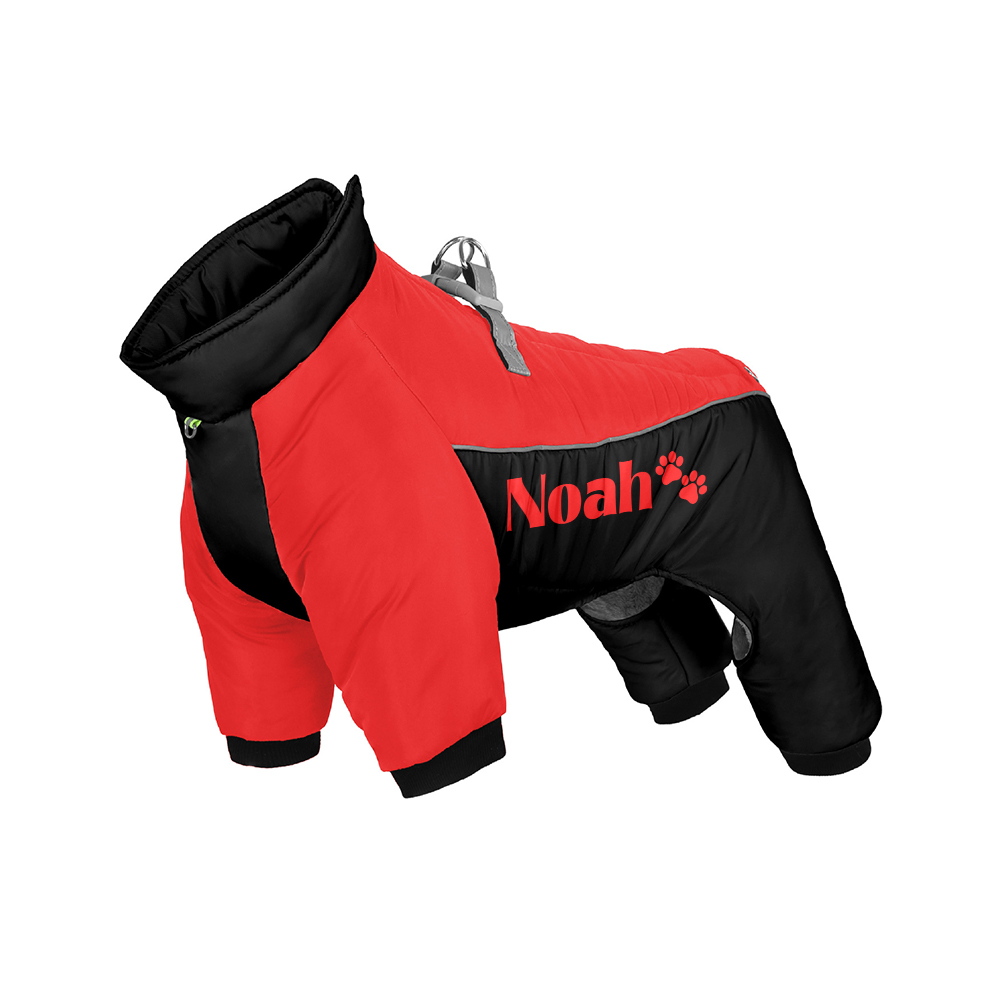 Personalized Winter Color-Blocked Cotton Coats For Pets | BKPet599