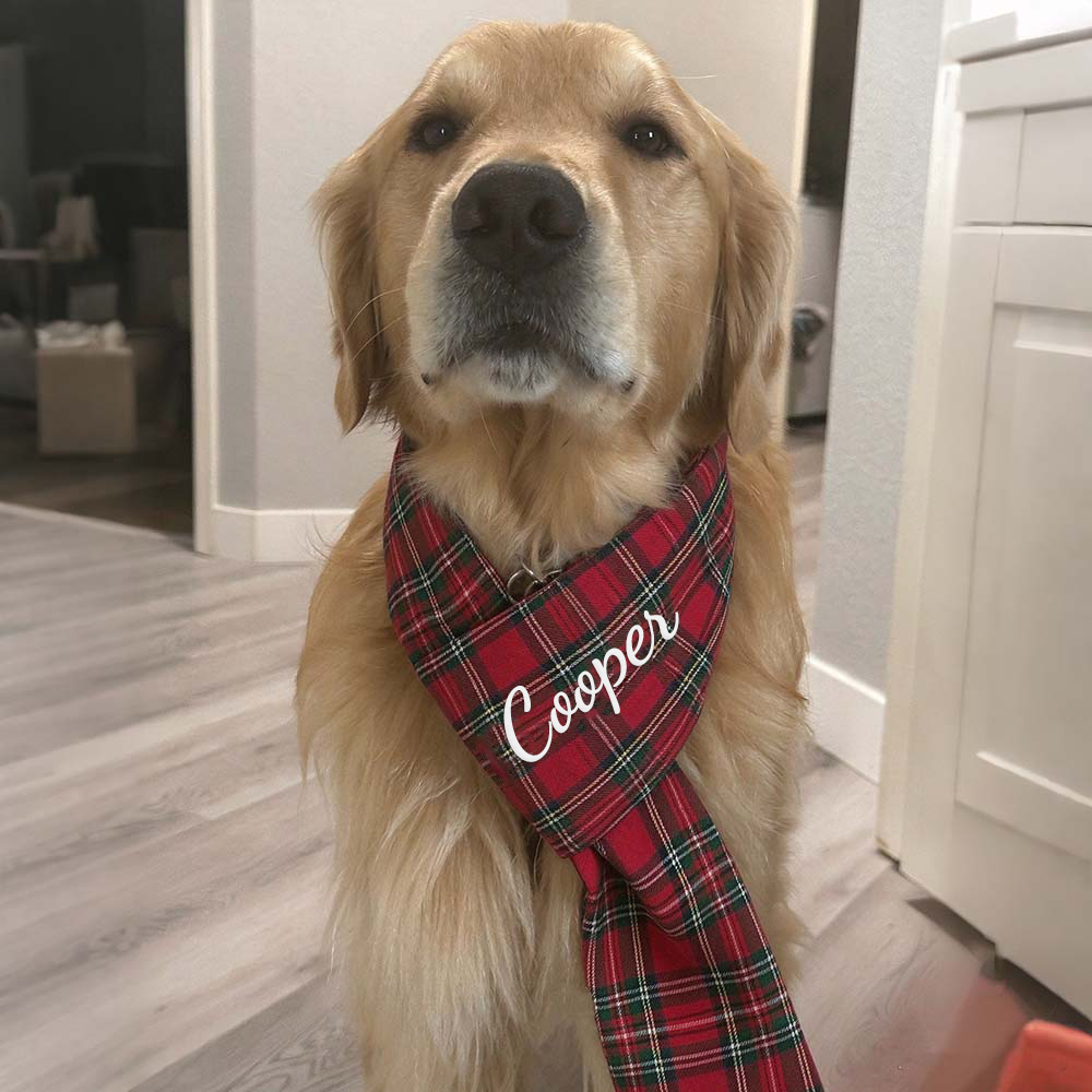 Personalized Pets Christmas Adjustable Plaid Scarf | BKPet642