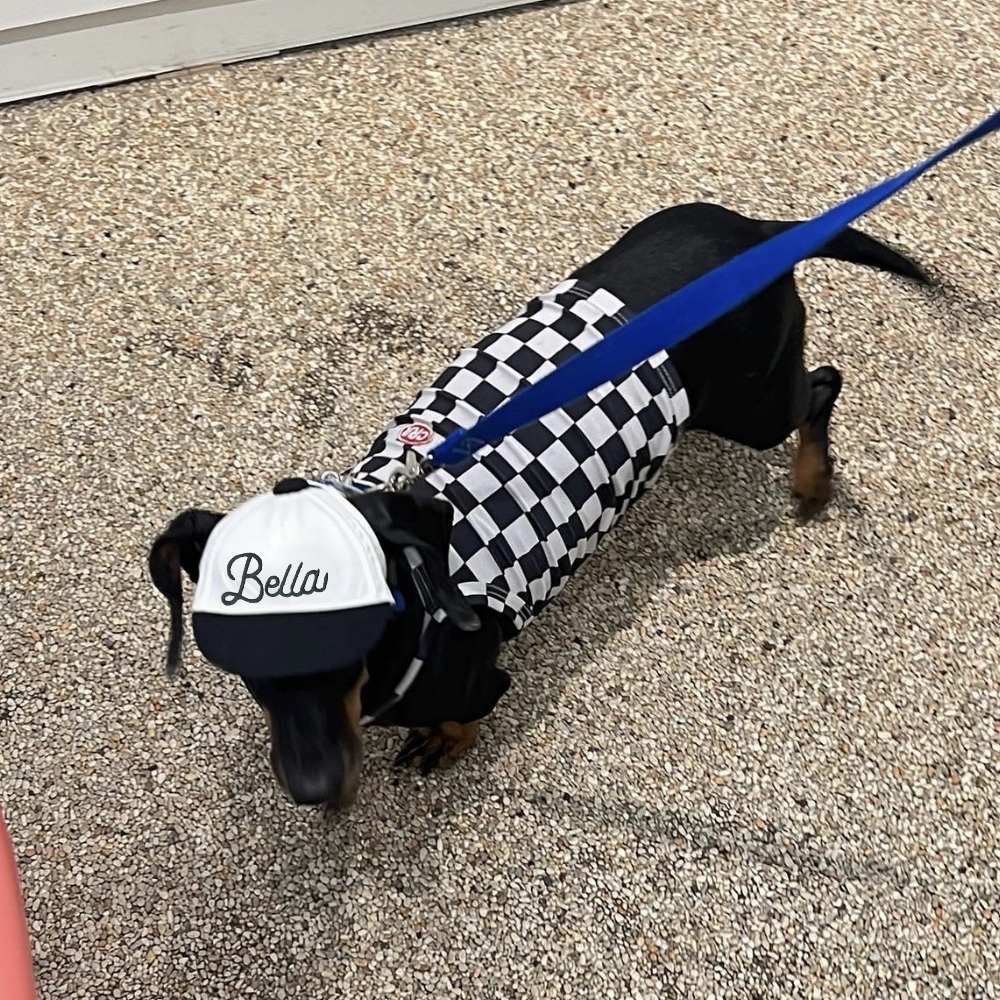 Personalized Embroidery Pet Baseball Cap with Ear Holes | CWPet27