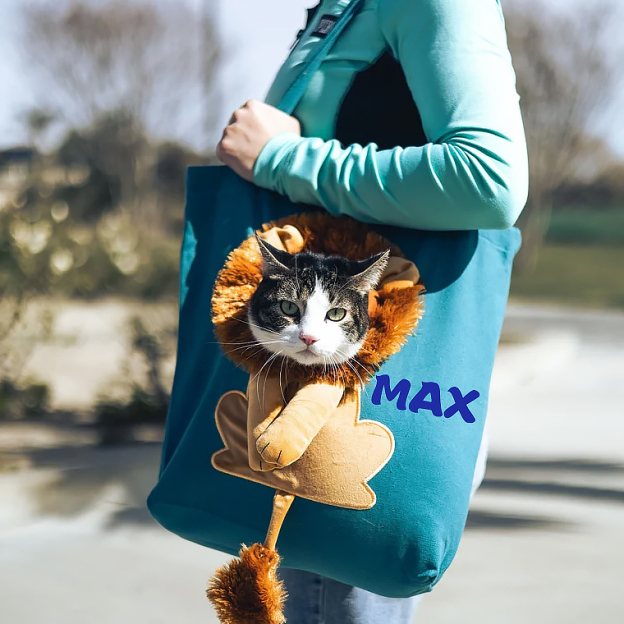 Personalized Lion Design Portable Breathable Cute Pet Carriers | BKPet60