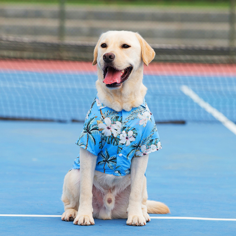 Personalized Leather Patch Hawaiian Pet Shirt | BKPet51