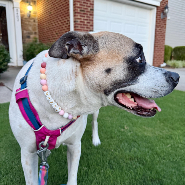 Personalized Handmade Beaded Adjustable Buckle Dog Collar | BKPet221