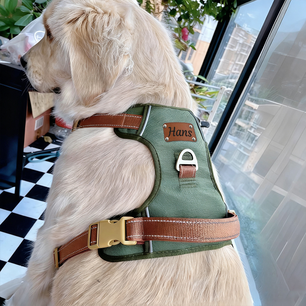 Personalized Night Reflective Luxury Puppy Harness | BKPet237