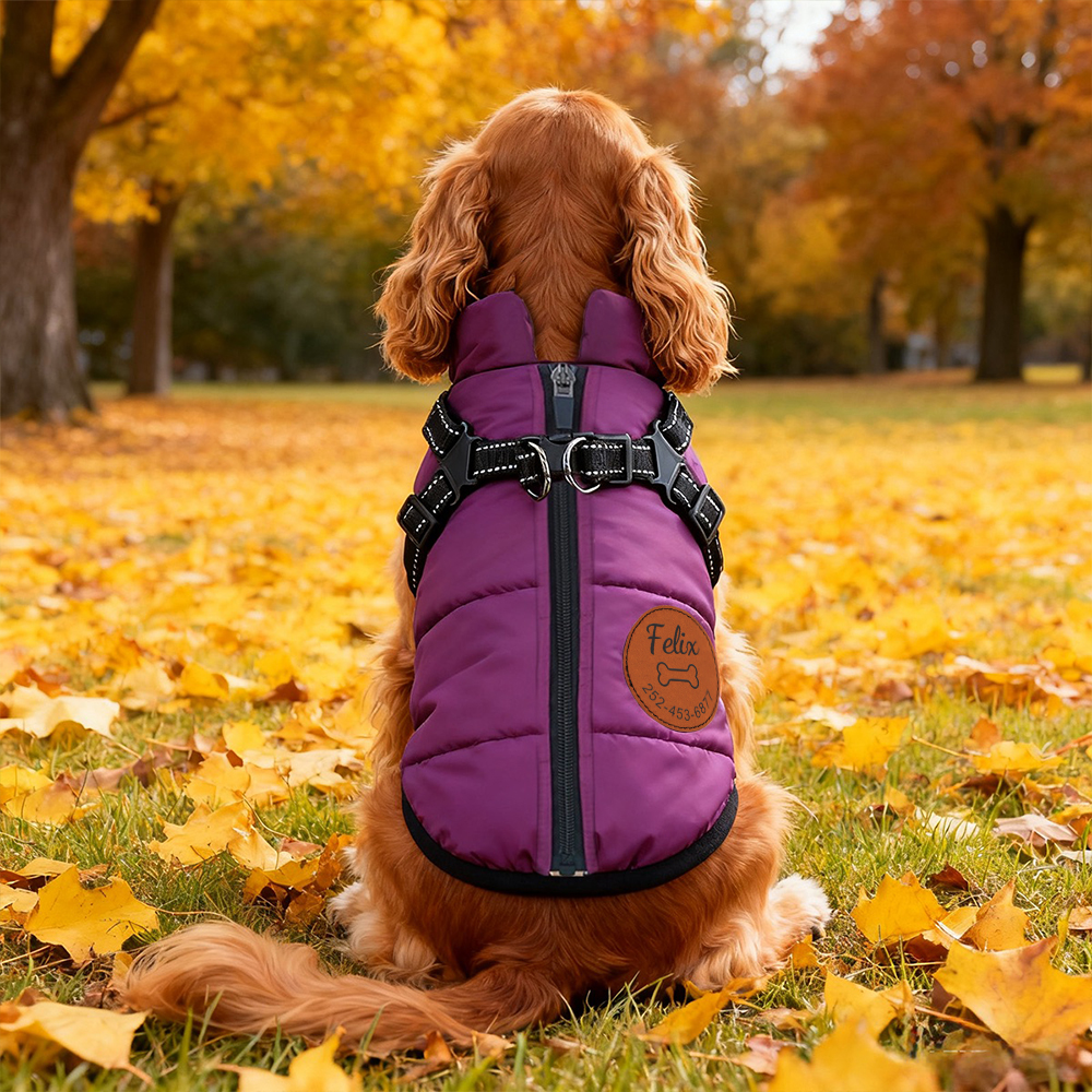 Personalized Round Leather Patch Pets Puffer Jacket | BKPet245
