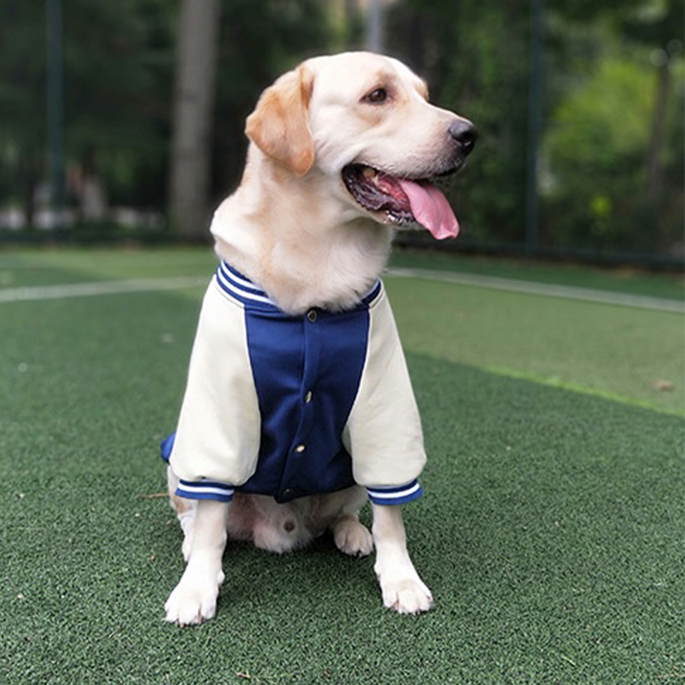Personalized Pet Large Baseball Jacket | BKPet250
