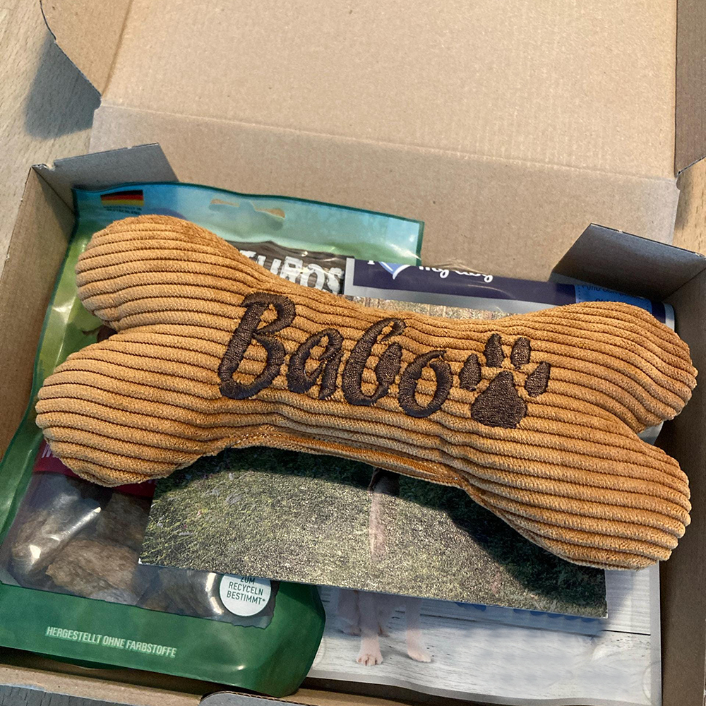 Personalized Embroidered Corduroy Puppy Bone Squeaker Toy | BKPet257