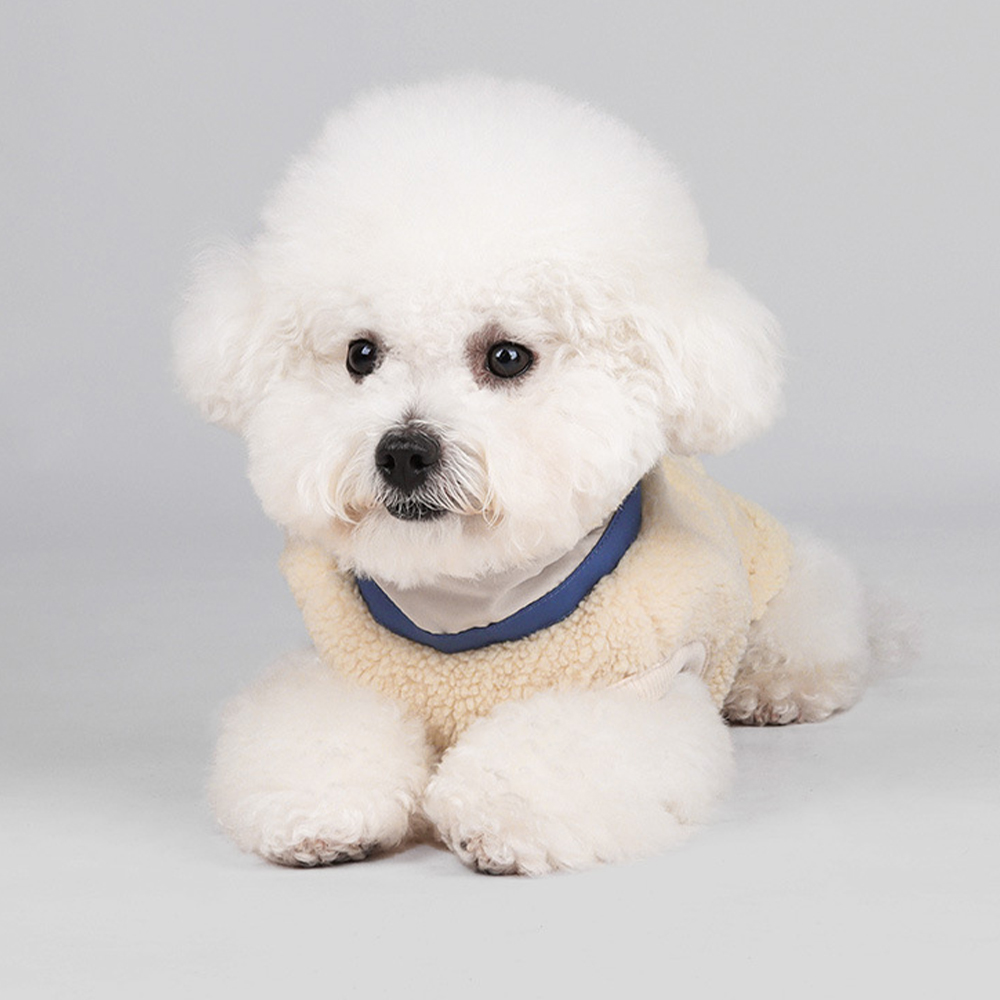 Personalized Leather Patch Pets Color Sweatshirts | BKPet275