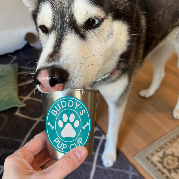 Personalized Pet Stainless Steel Reusable Pup Cup Mug | BKPet26301