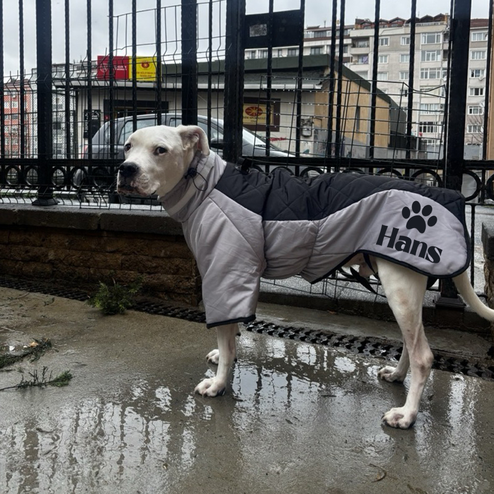 Personalized Pet Winter Warm Windproof Large Puffer Jacket | BKPet281