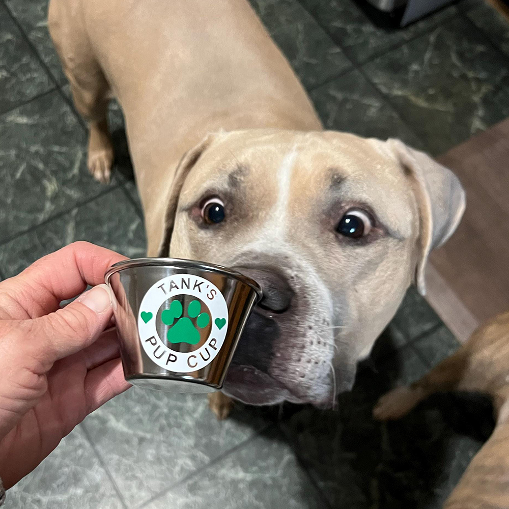 Personalized Valentine’s Day Pet Gift Pup Cup Mug | BKPet285