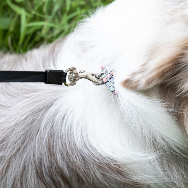 Personalized Photo Paw Design Pet Leash | BKPet307