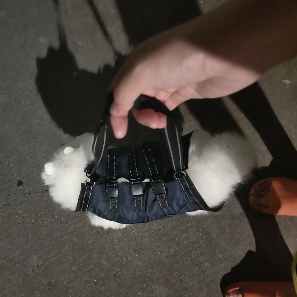 Personalized Adjustable Pet Lifting Harness Breathable Full Body Support | BKPet309