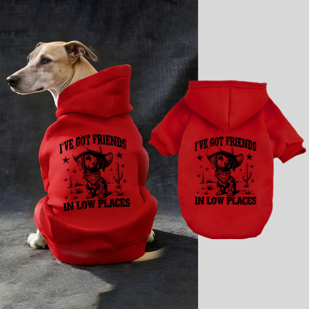 I'VE GOT FRIENDS Puppy Hoodie | BKPet340