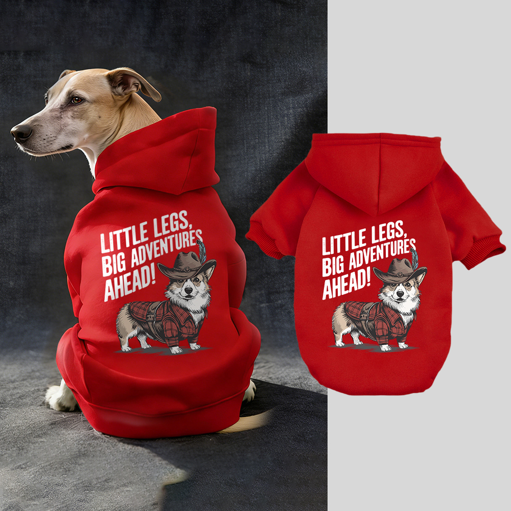LITTLE LEGS BIG ADVENTURES AHEAD Puppy Hoodie | BKPet341