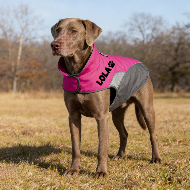 Personalized Pet Outdoor Windproof Vest | BKPet347