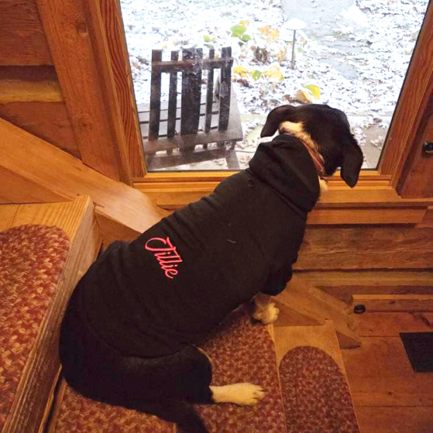 Personalized Embroidery Warm Soft Puppy Hoodie | BKPet362