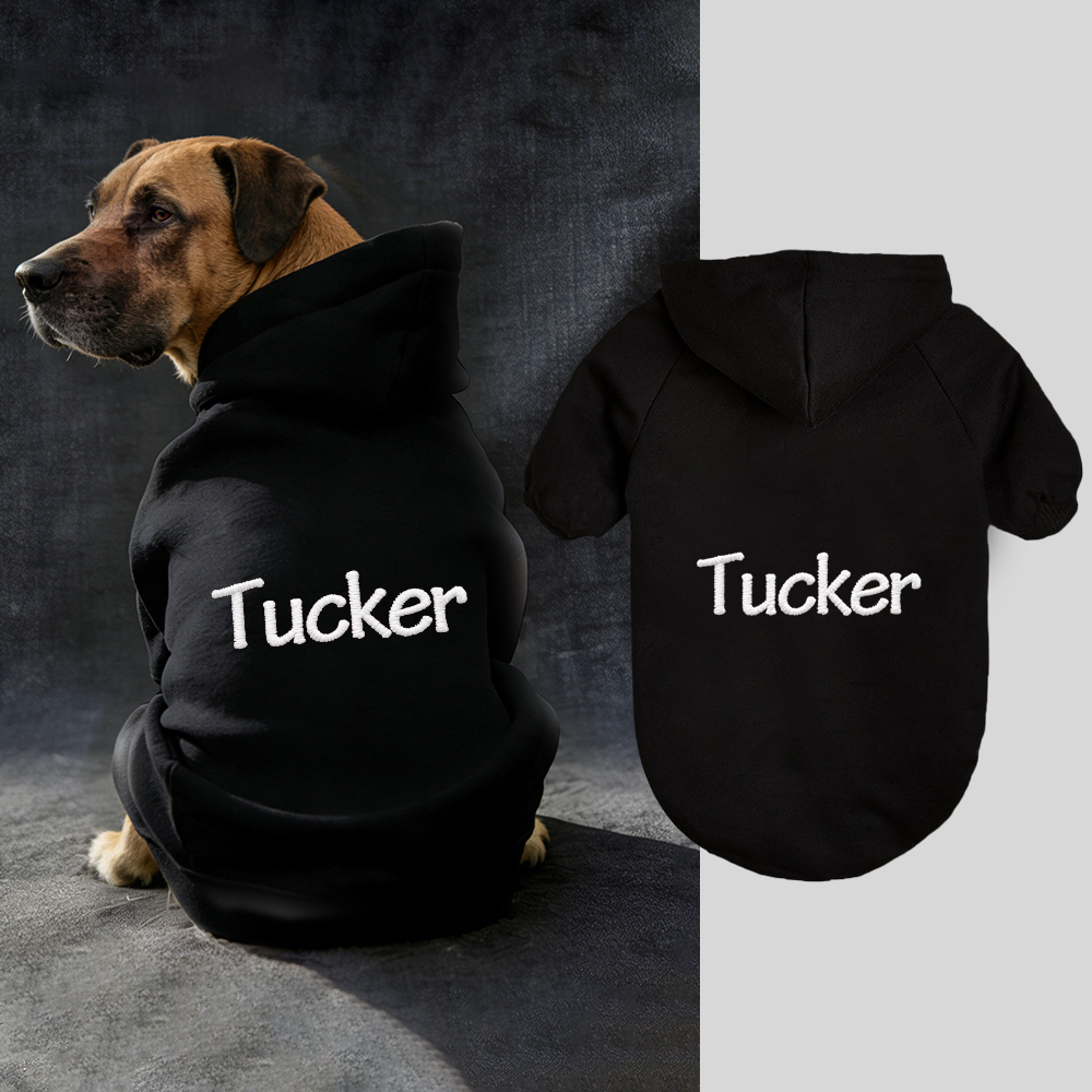 Personalized Embroidery Warm Soft Puppy Hoodie | BKPet362